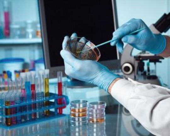 طرحهای پژوهشگاه صنعت نفت متوقف نشد