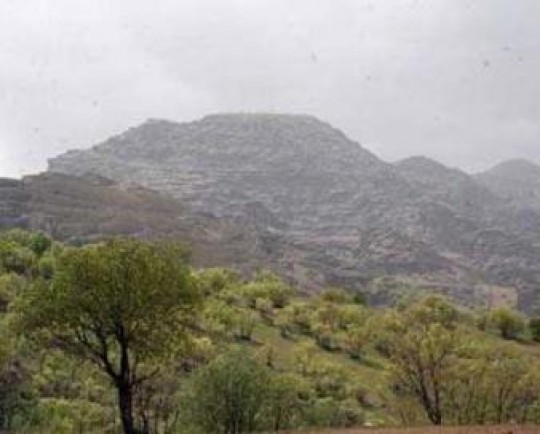 آغاز عملیات احداث پارک ۳۰۰هکتاری سردار قاسم سلیمانی در دره شهر