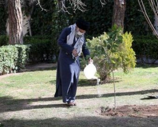 تخریب جنگلها و محیط زیست و پوششهای گیاهی تخریب منافع ملی است