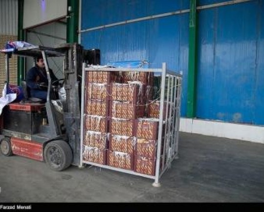 تامین میوه شب عید استانهای جنوبی از استانهای کهگیلویه و بویراحمد و فارس