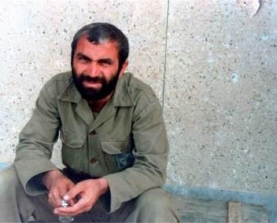 نماینده مردم همدان در مجلس: شهید همدانی با توهینهای سرانه فتنه در دل مردم عزیزتر شد