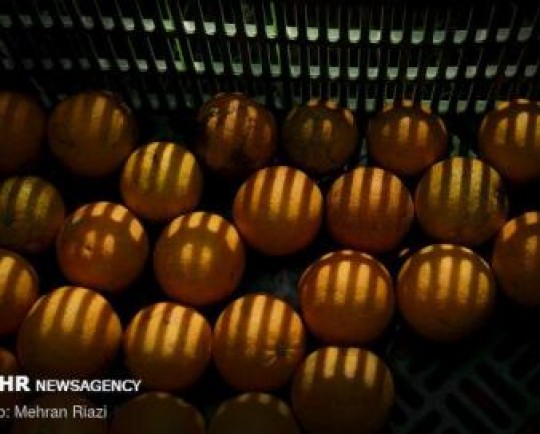 زیرساختهای صادراتی لنگ میزند؛