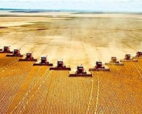 تلاش روسیه برای معافیت از تحریمها برای تسهیل صادرات غلات