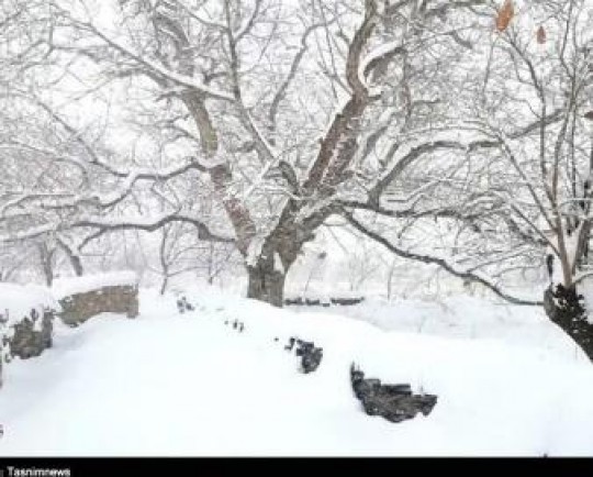 بارش برف در ارتفاعات شمال هرمزگان 