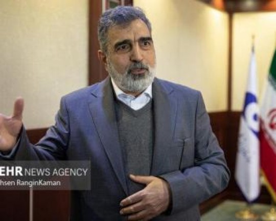 حملهها به صنعت کاملا بومیشده هستهای ایران بیمفهوم است