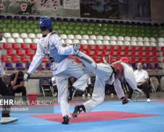 جدال ۲۹۱ هوگوپوش در در رقابتهای قهرمانی البرز