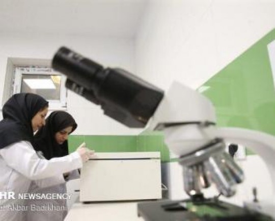 زیستبوم فناوری کشور با بودجه دولتی بیشتر از این رشد نمیکند