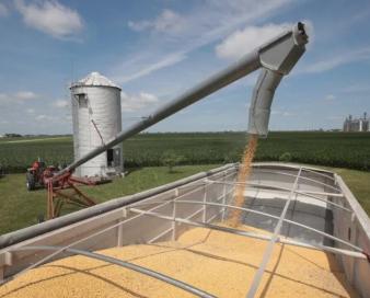 کشاورزی آمریکا تحت فشار شدید قرار گرفته است